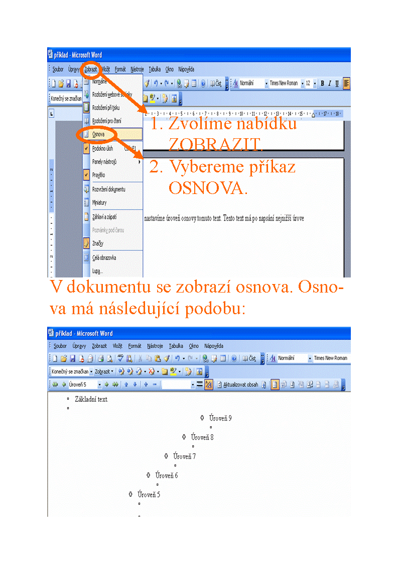 Osnova dokumentu v Microsoft Word